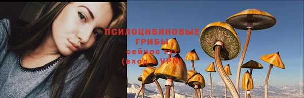 прущая мука Гусь-Хрустальный