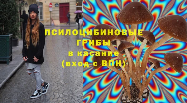 скорость Гусев