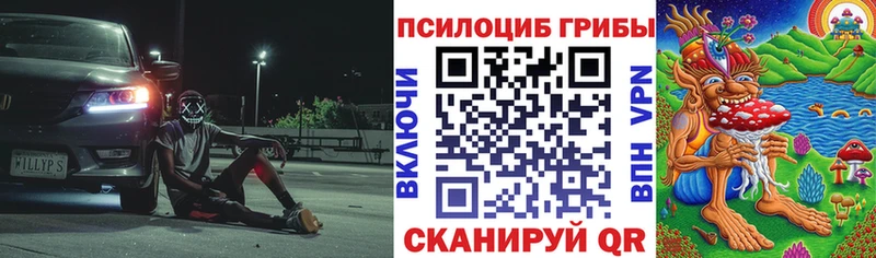 Купить  Кыштым  Галлюциногенные грибы ЛСД 